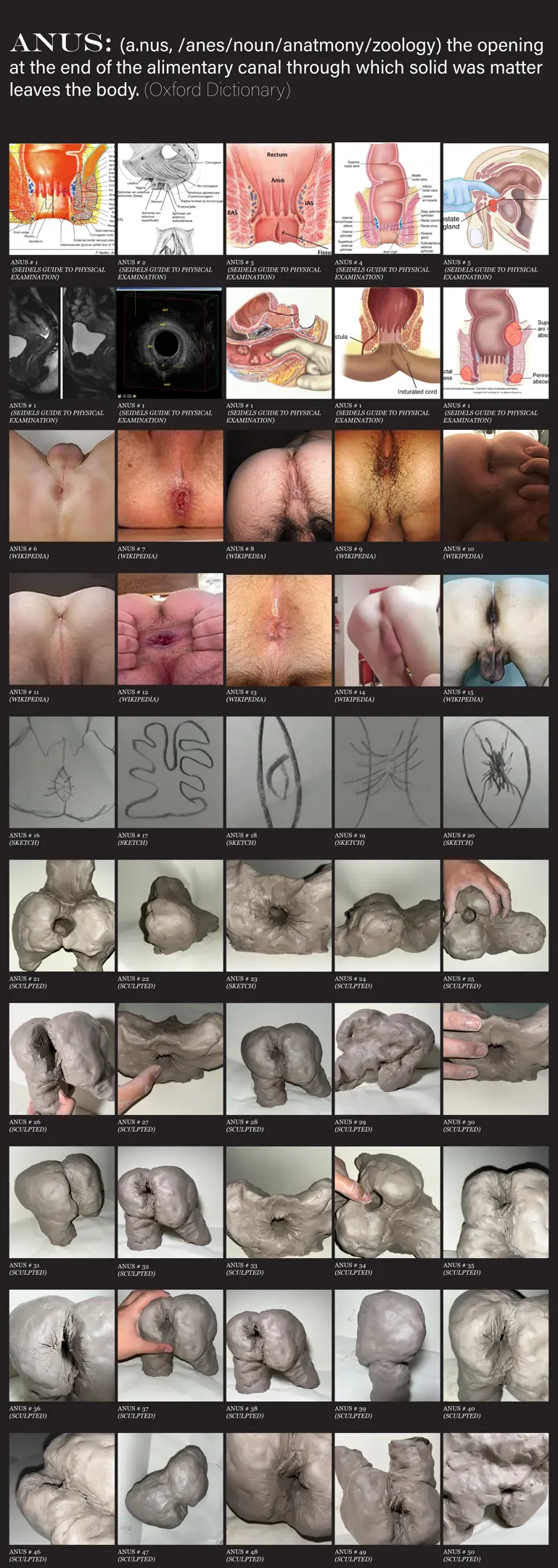 ANUS PROCESS